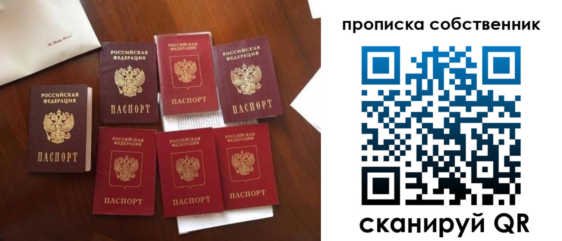 прописка для школы в Заозёрске